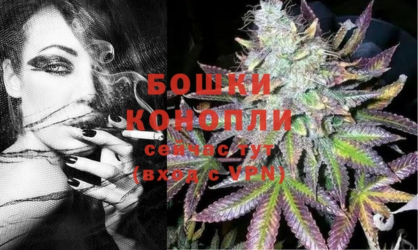 стафф Богданович